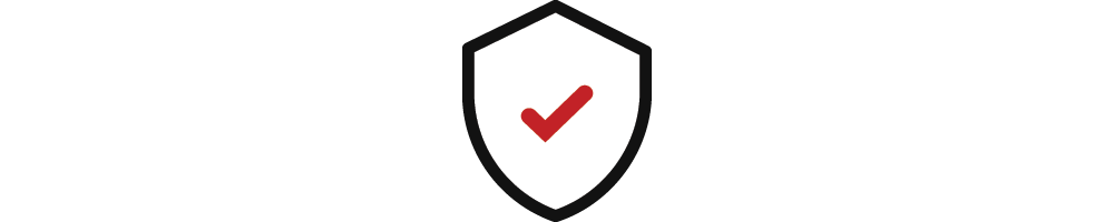 Website Security Deluxe